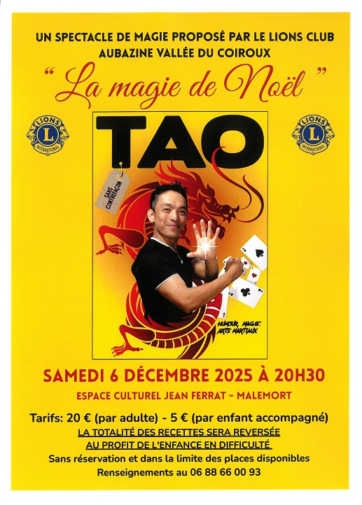 Spectacle de TAO : "La magie de Noël"