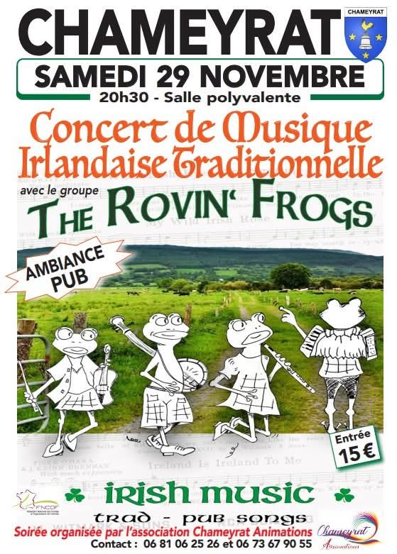 Concert de musique Irlandaise traditionnelle