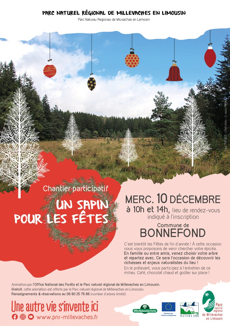 Chantier participatif : un sapin pour les fêtes