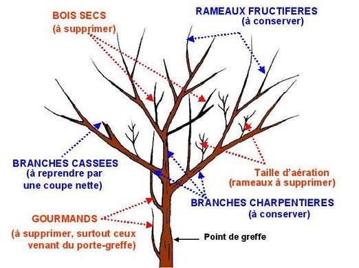 Le Battement d'ailes : Formation "Architecture ...