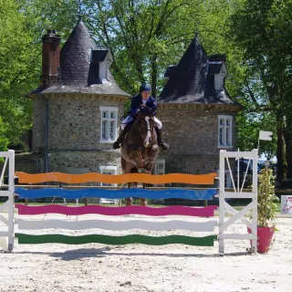 Concours de Saut d'Obstacles