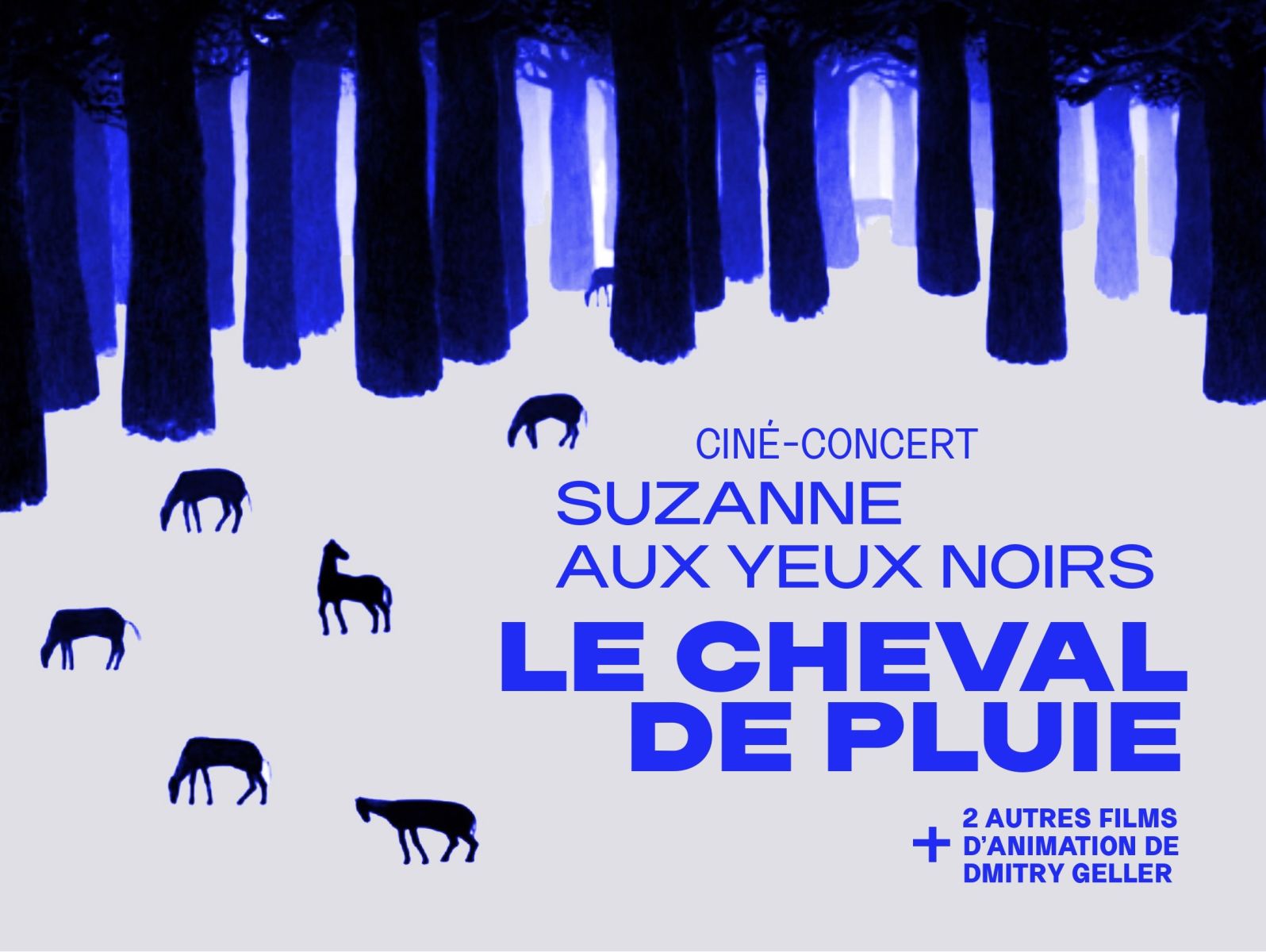 Ciné concert Le cheval de pluie