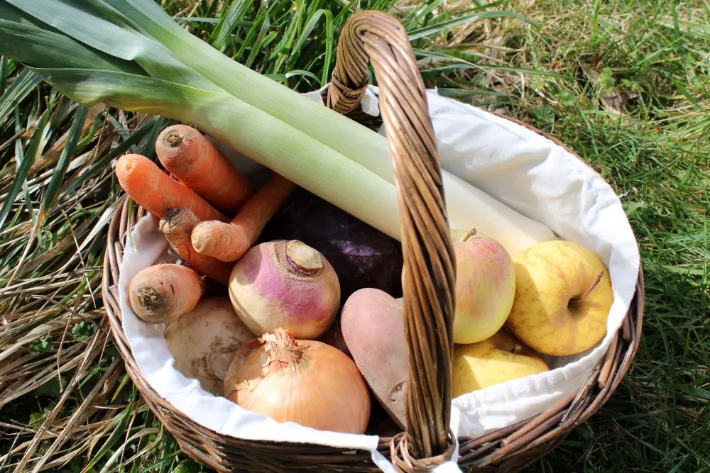 Les saveurs médiévale ... - Crédit: PAH