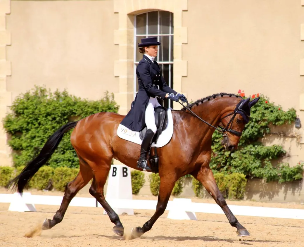 Concours de dressage ... - Crédit: © Célia Brisset