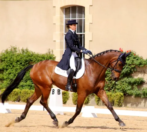 Concours de dressage Pro Elite