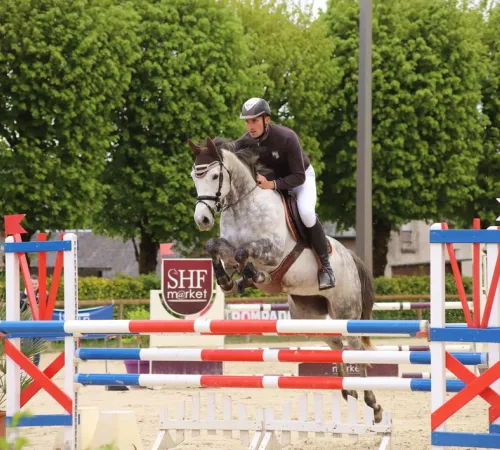Concours de Saut d'Obstacles Club