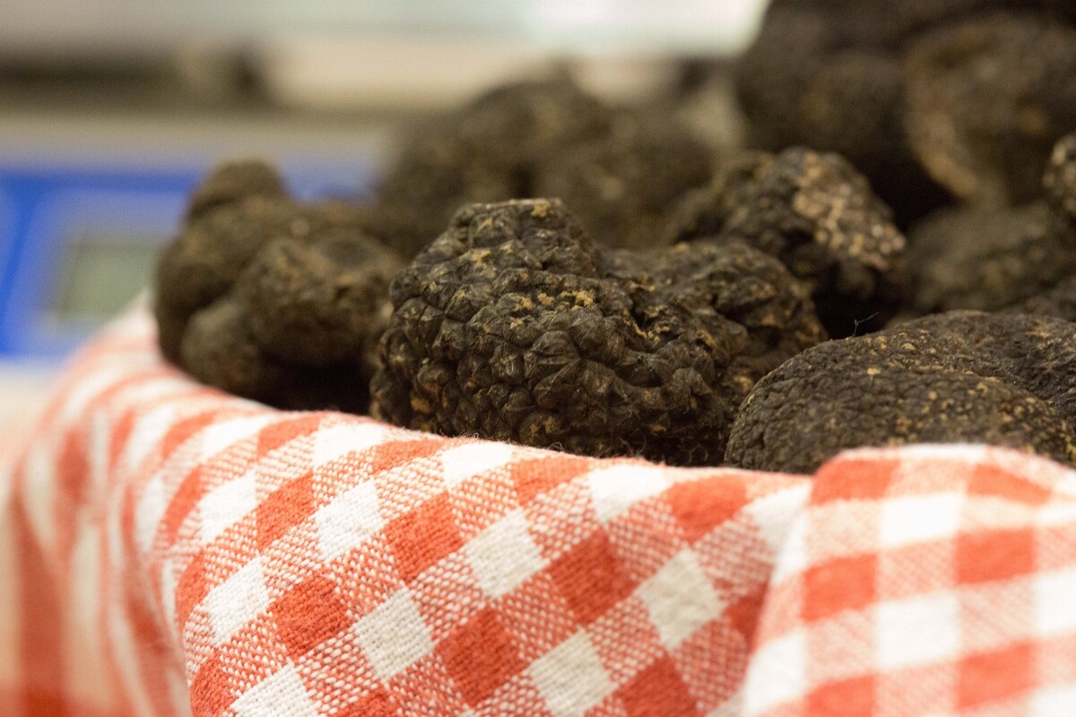 22 ème marché primé aux Truffes