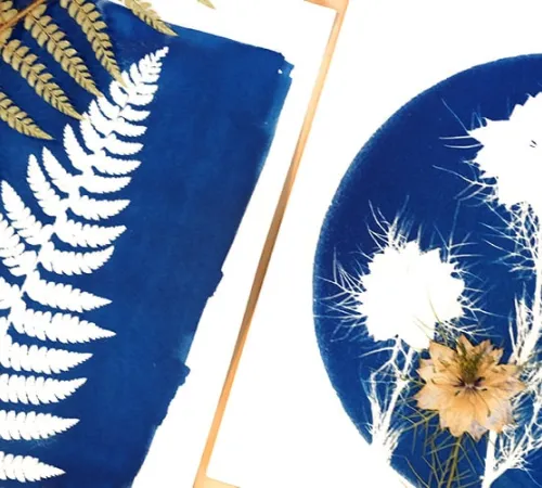 Les mardis de l'été « Atelier cyanotype »