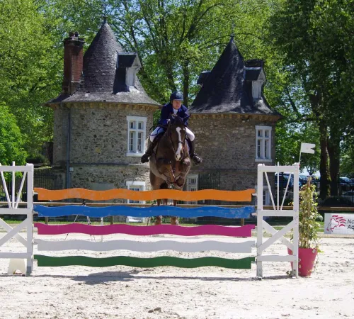 Concours de Saut d'Obstacles Jeunes chevaux