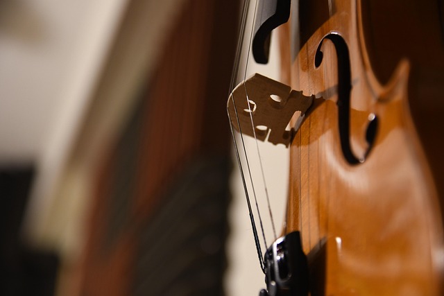 Concert "Éclats baroq ... - Crédit: MAGstd Pixabay
