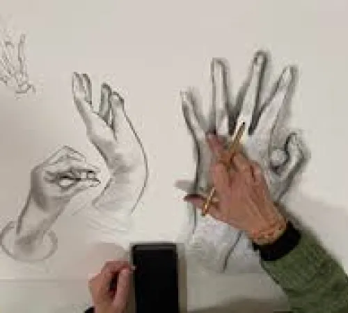 La Cour des Arts : Dessin d'observation