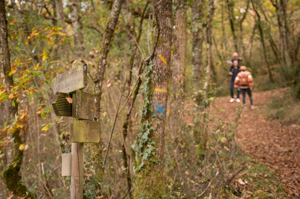 13ème Rando des Causses