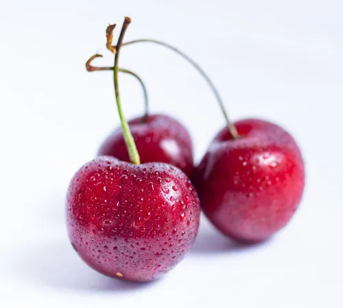 Fête de la cerise de Chamberet