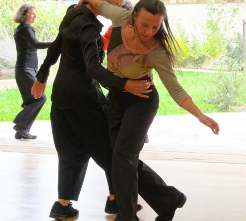 Stage danse et approche énergétique du mouvement