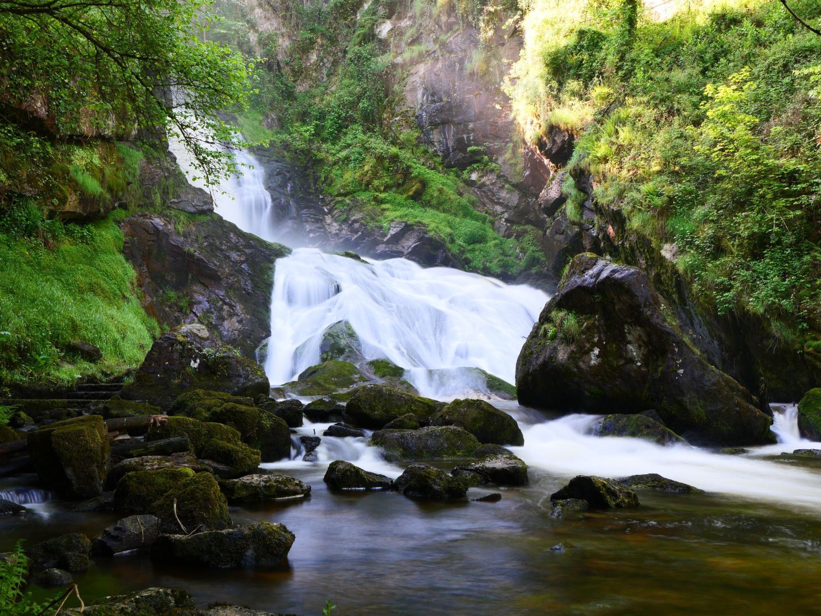 Les Activités du Parc Vuillier : Visite guidée