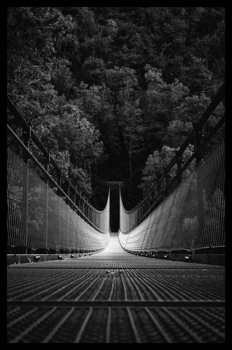 Soirée photos de l'Association Arts et Créatio ...