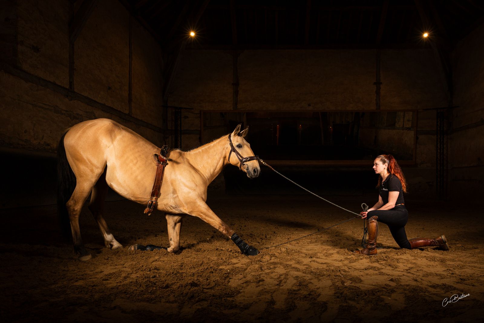 Rencontre avec un artiste équestre