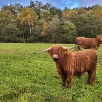 Enquête à la ferme - Crédit: Ferme de Jolie fleur