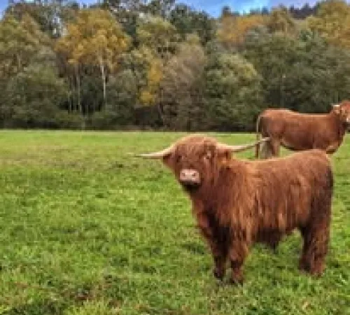 Enquête à la ferme