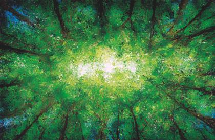 Domaine de Sédières : Concours de dessin