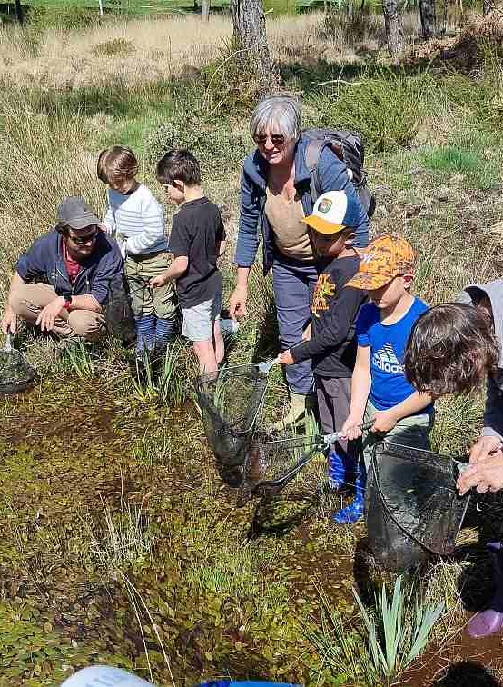 Atelier-découverte : La petite faune des lande ...