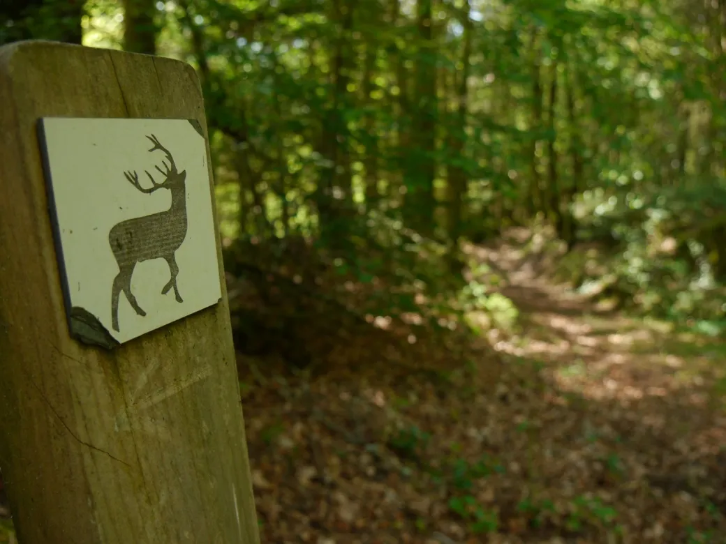 Escape Game Nature : ... - Crédit: OT Contrées Vertes