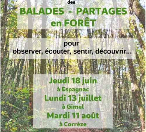 Balades - Partages en forêt