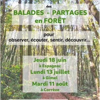 Balades - Partages en forêt