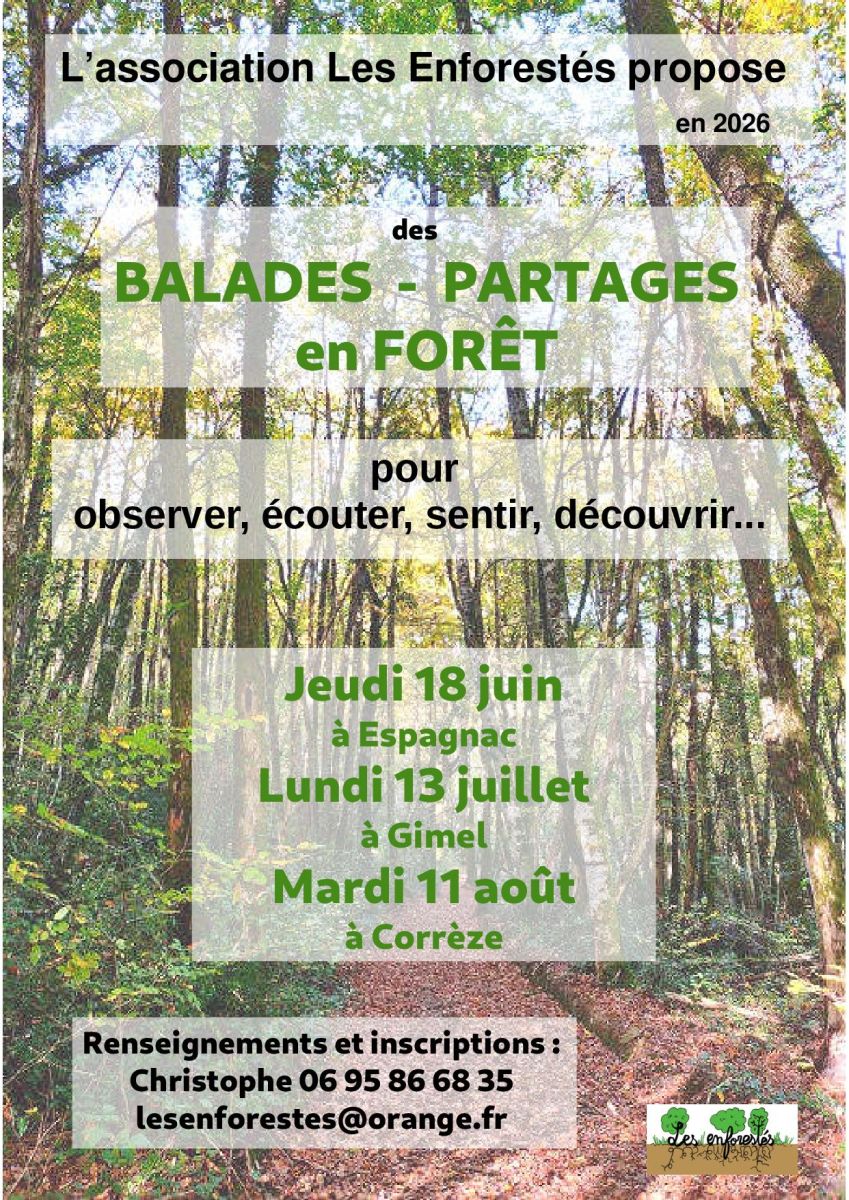 Balades - Partages en forêts