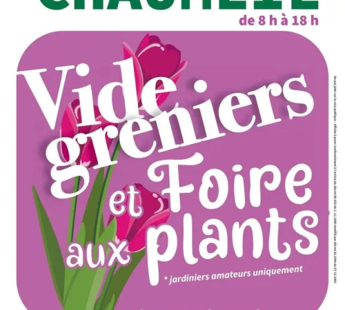 Vide- greniers et foire aux plants