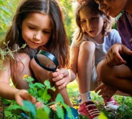 Domaine de Sédières : Devenez explorateur de la nature en forêt