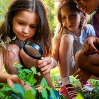 Domaine de Sédières : Devenez explorateur de la nature en forêt