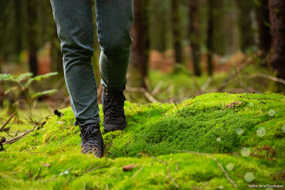 Randonnée pédestre "Entre rives et coteaux"