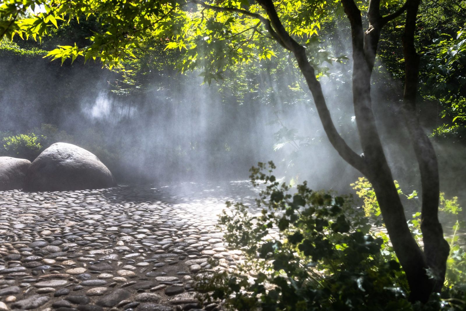 Journées Européennes du Patrimoine aux jardins ...