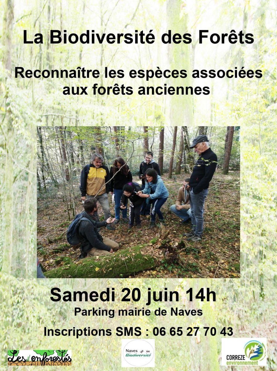 Balade : La biodivers ... - Crédit: Naves Biodiversité