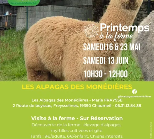 Printemps à la ferme - Les Alpagas des Monédières