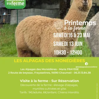 Printemps à la ferme - Les Alpagas des Monédières