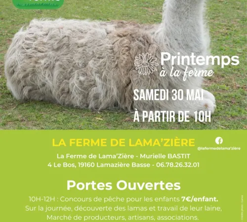 Ferme de lama'zière - Printemps à la ferme - BAF