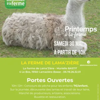 Ferme de lama'zière - Printemps à la ferme