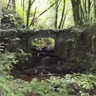 Journées du patrimoine de pays: archéologie d’un paysage agraire