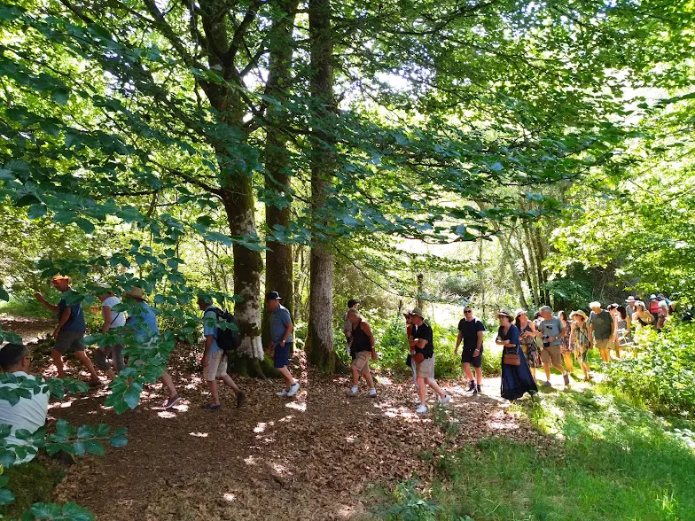 Sortie mycologique - Crédit: Parc-Arboretum de Saint-Setiers