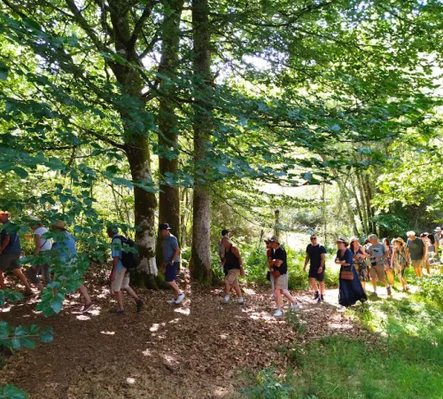 Sortie mycologique
