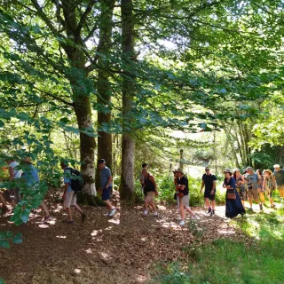 Sortie mycologique