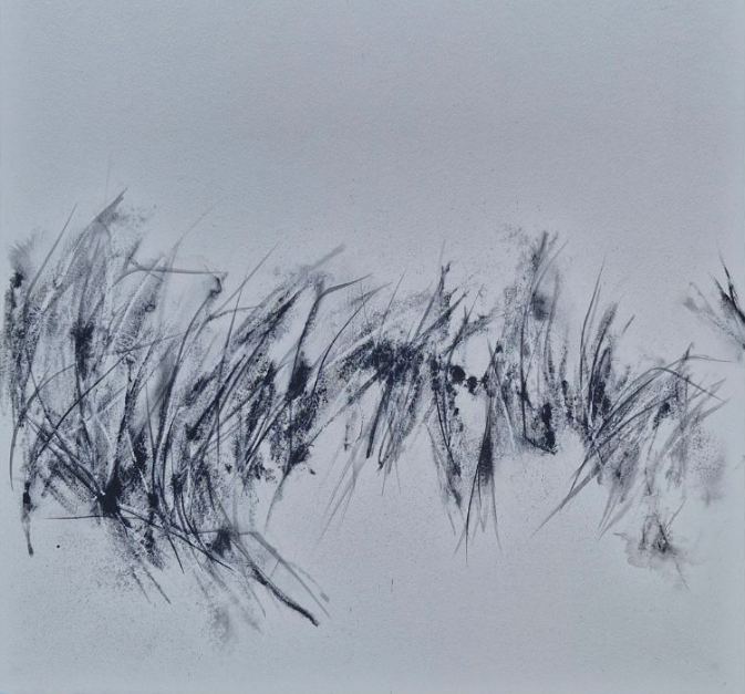 Exposition "Simplement Sauvage" de Patricia Fayat
