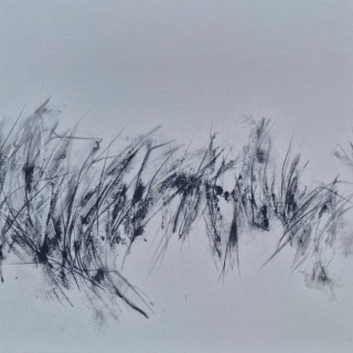 Exposition "Simplement Sauvage" de Patricia Fayat