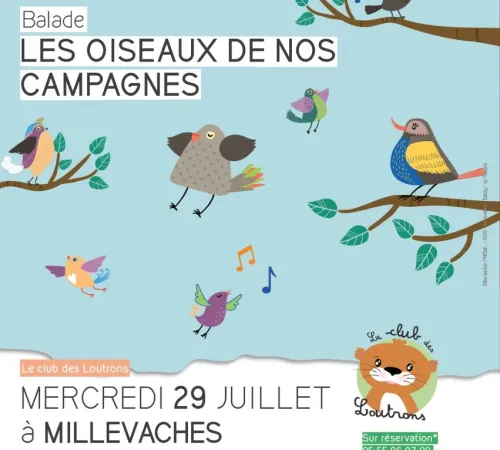 Balade les oiseaux de nos campagnes