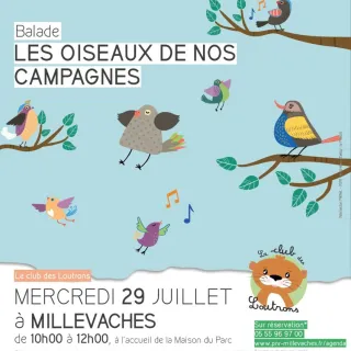 Balade les oiseaux de nos campagnes