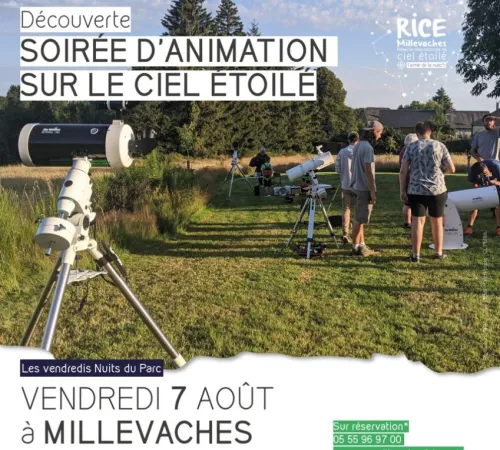 Soirée d'animation sur le ciel étoilé