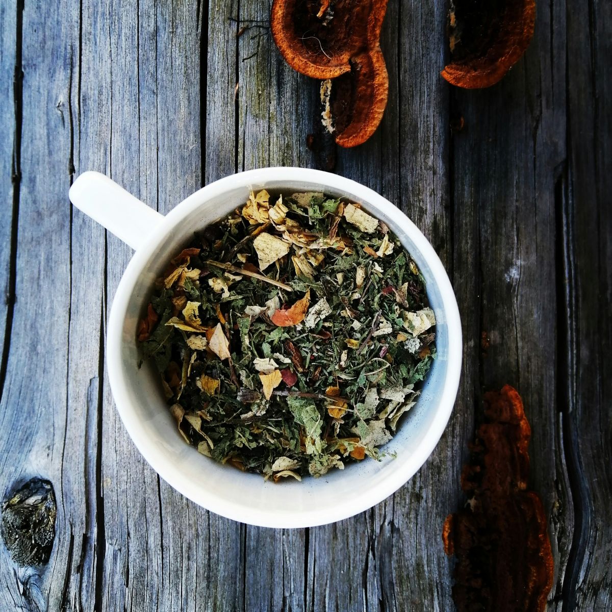 Atelier Tisane aux Tours de Merle