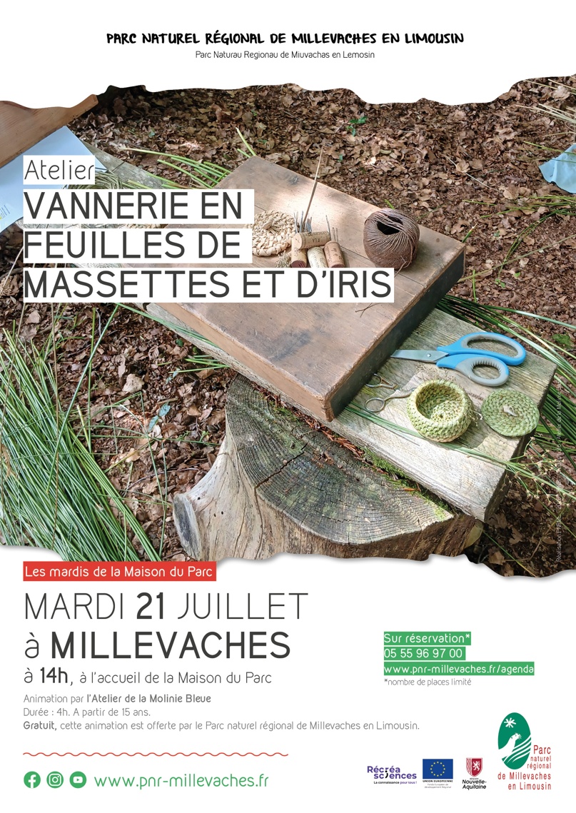 Atelier vannerie en feuilles de massettes et d ...